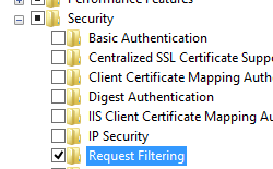 Screenshot of World Wide web Services and Security pane expanded with Request Filtering highlighted.