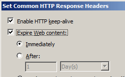 Screenshot that shows the Set Common H T T P Response Headers dialog box. Immediately is selected under the Expire Web content checkbox.