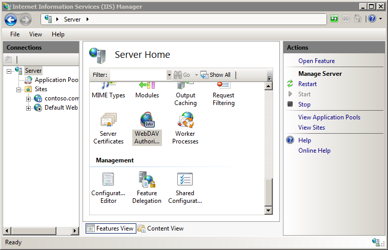 Screenshot that shows the Server Home pane, with Web DAV Authoring Rules selected.