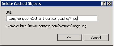 Screenshot that shows a U R L with a wildchar pattern in the Delete Cached Objects dialog.