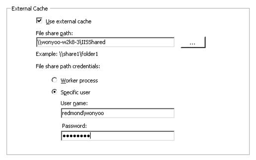 Screenshot of the External Cache dialog box.