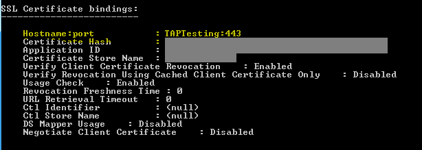 Screenshot that shows a command window. Host name and port are highlighted.