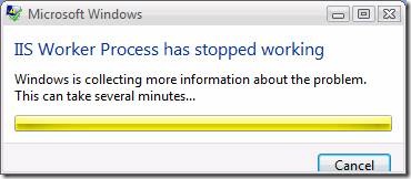 Screenshot of an error message reading I I S Worker Process has stopped working.