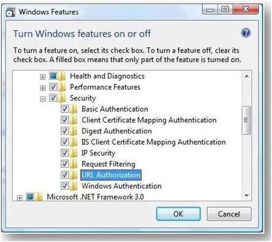Screenshot of Window Features showing URL Authorization box checked.