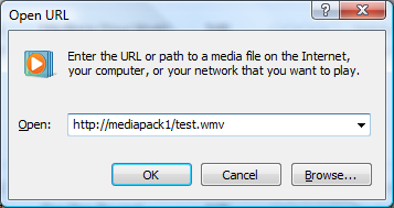 Screenshot of the Open U R L dialog with the I I S server Default Web Site entered.