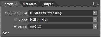 Screenshot of the Encode tab showing the Output Format, Video, and Audio fields.