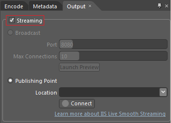 Screenshot of the Output tab with a focus on the Streaming check box being selected.