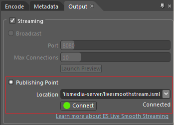 Screenshot of the Output tab with a focus on the Publishing Point option being selected.