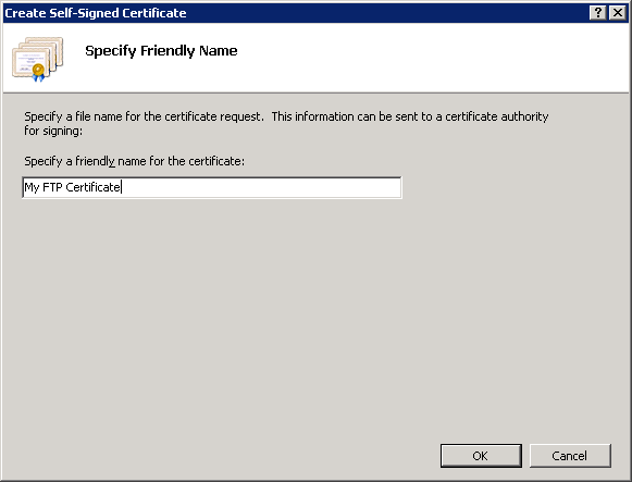 Screenshot that shows the Create Self Signed Certificate dialog box.