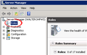 Screenshot of the Server Manager dialog box. In the left panel Roles is highlighted.
