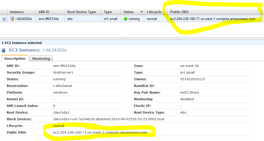 Screenshot that shows the A W S Management Console.  Publish D N S and its address is highlighted.