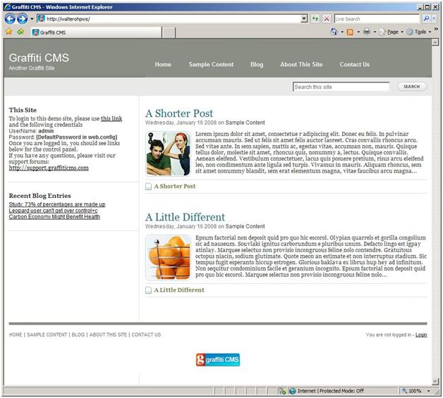 Screenshot of Internet Explorer showing Graffiti C M S web page.