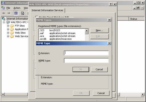 Screenshot of the MIME Types dialog box, showing the Extension and M I M E type fields.