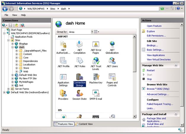Screenshot of the dash Home screen with the Connection Strings option being highlighted.