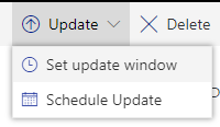 Screenshot of the Set Update Window action.