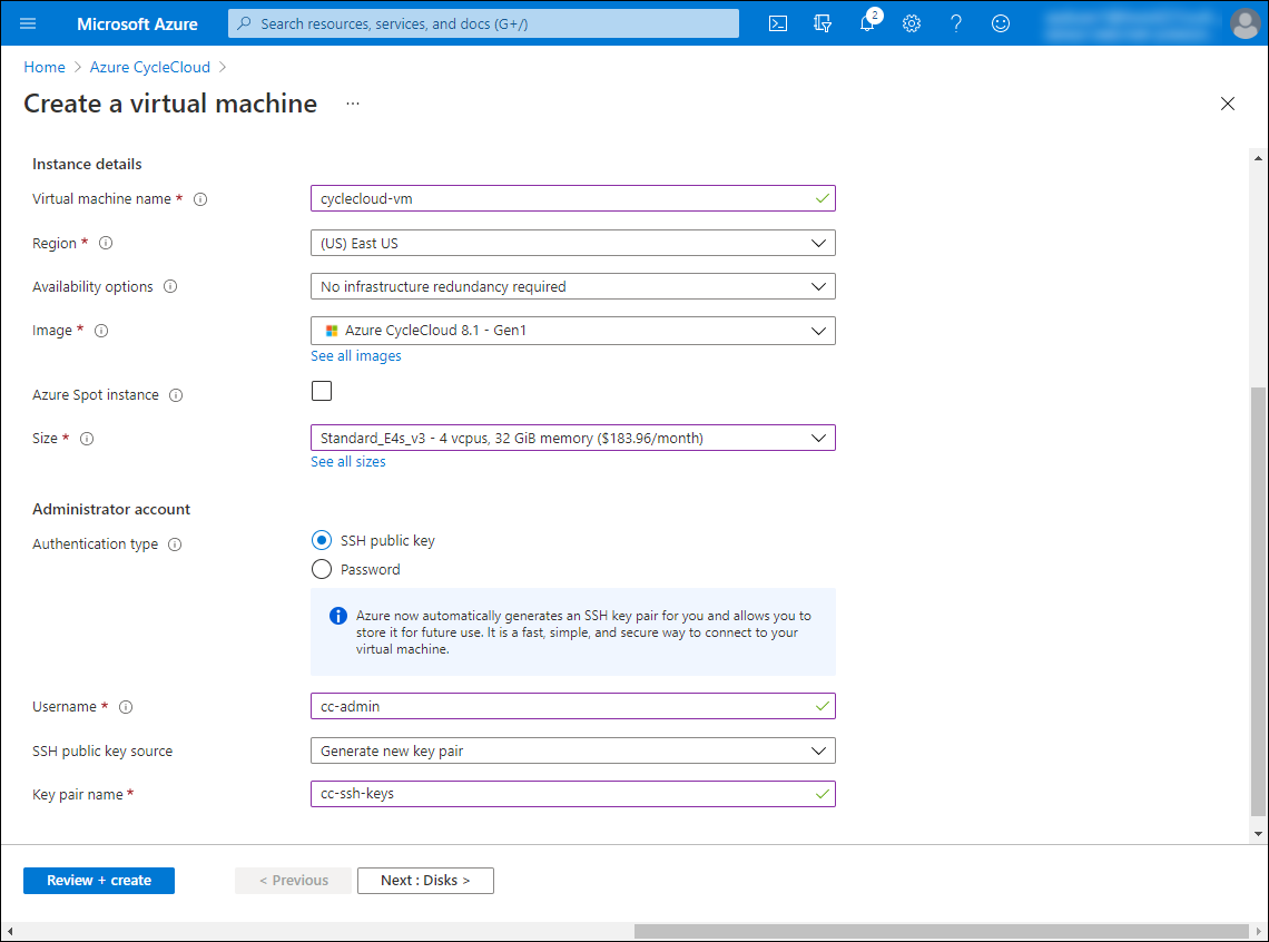 Screenshot showing the lower section of the Basics tab of the Create a virtual machine blade in the Azure portal.