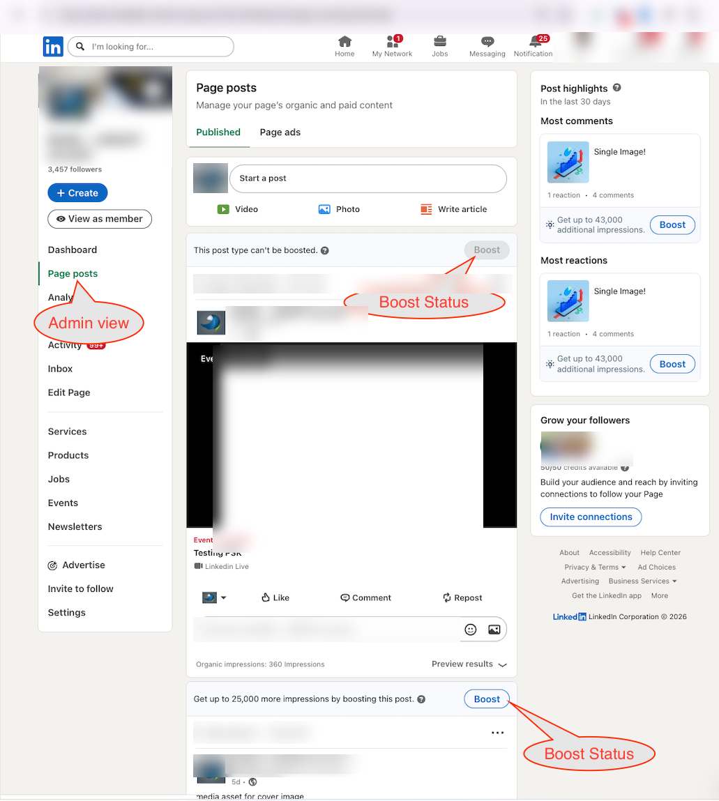 Page posts tab showing enabled and disabled Boost buttons for the Boost status endpoint