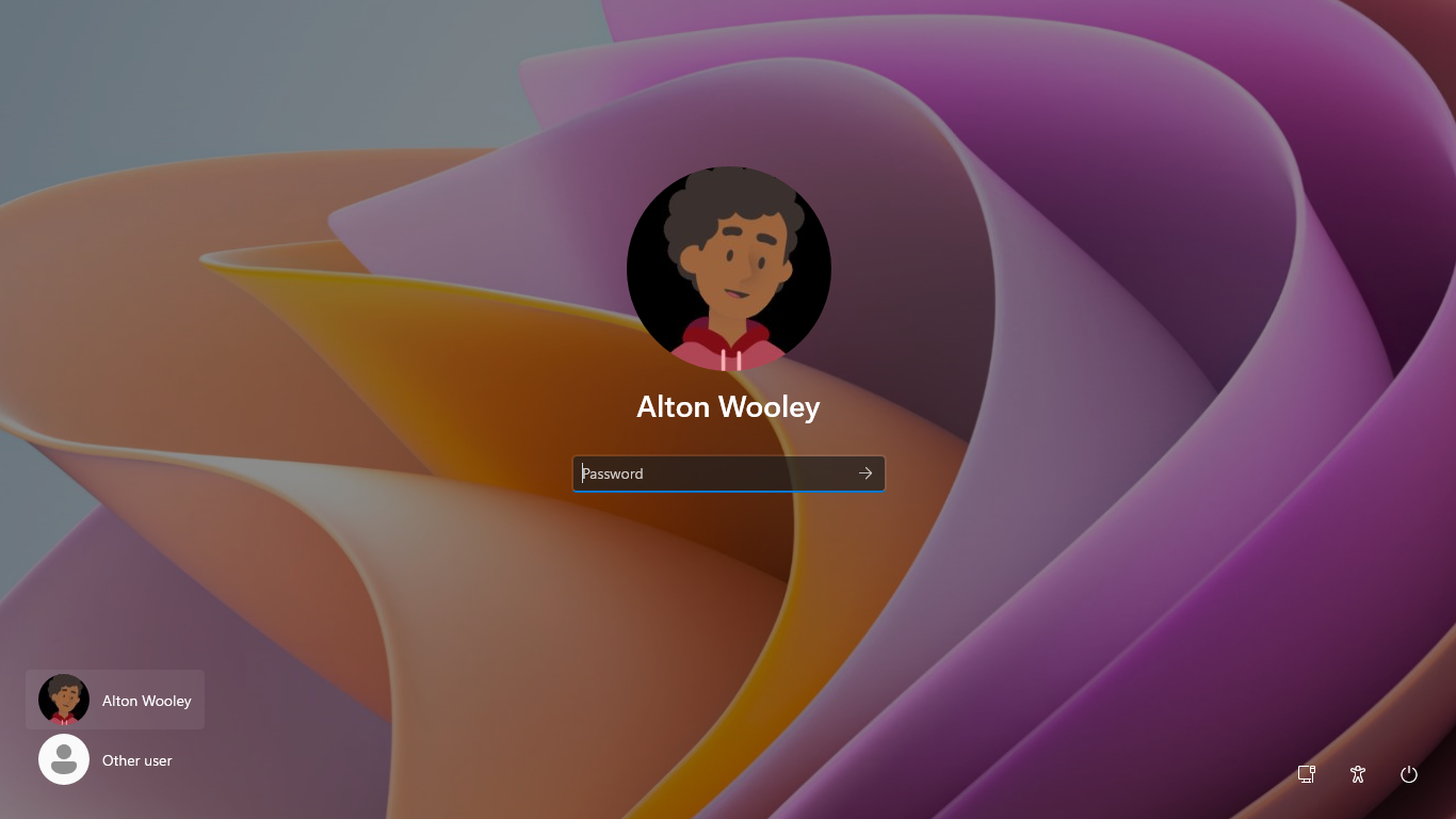 Windows 11 login screen