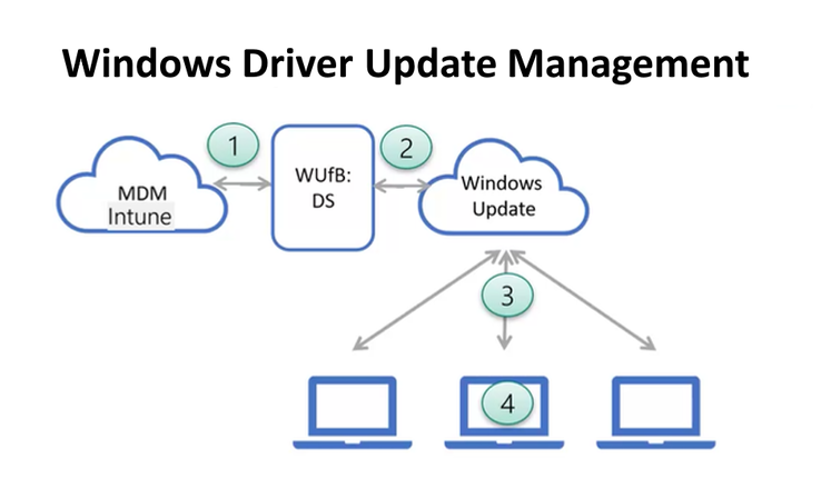 Download Drivers & Updates for Microsoft, Windows and more - Microsoft  Download Center