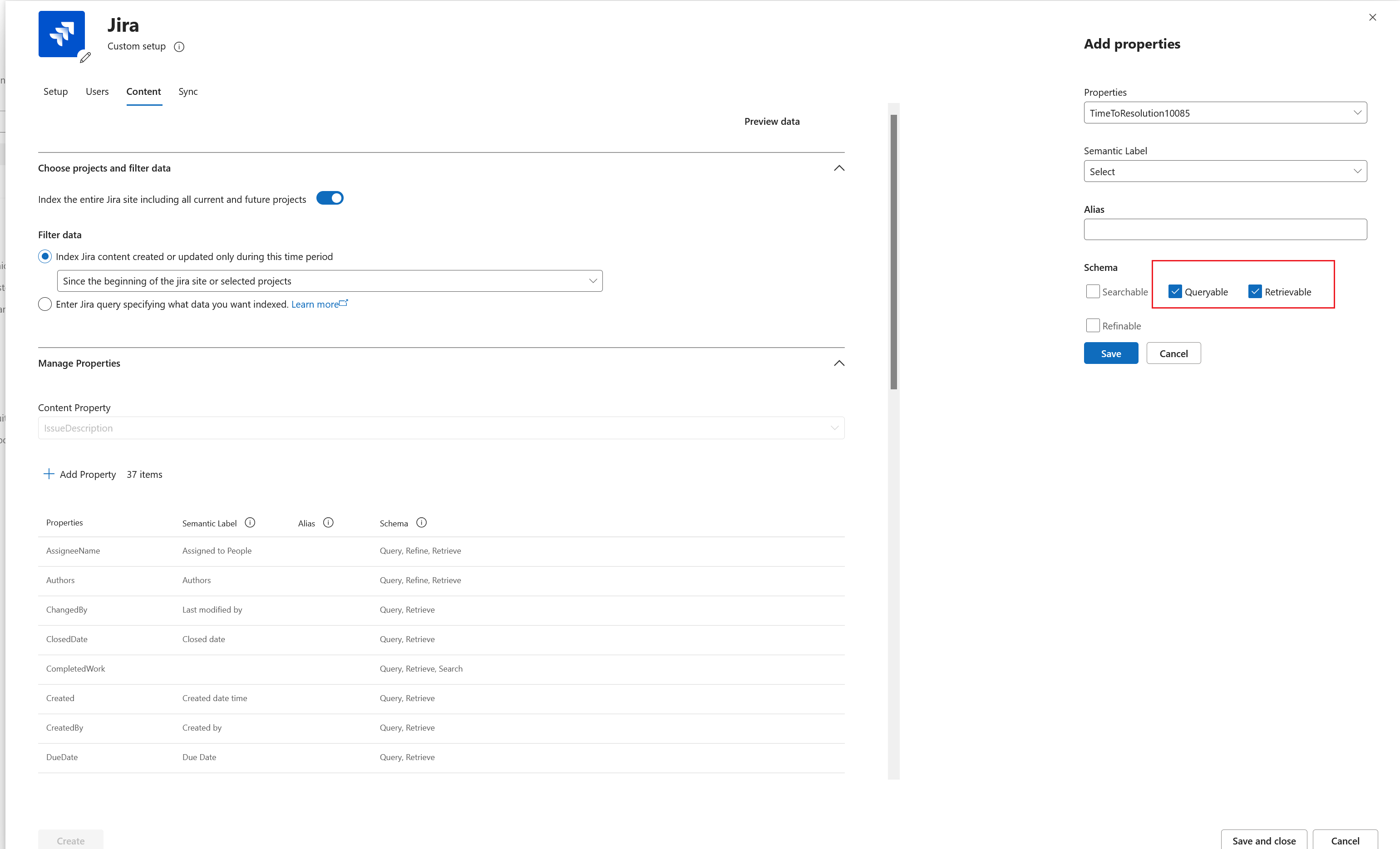 Screenshot of the schema options for a Jira custom property.