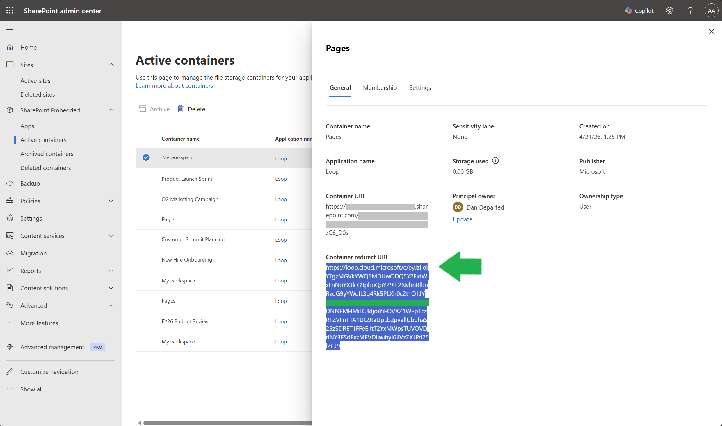 Screenshot showing the Container Redirect URL field in the General tab of the container details panel.