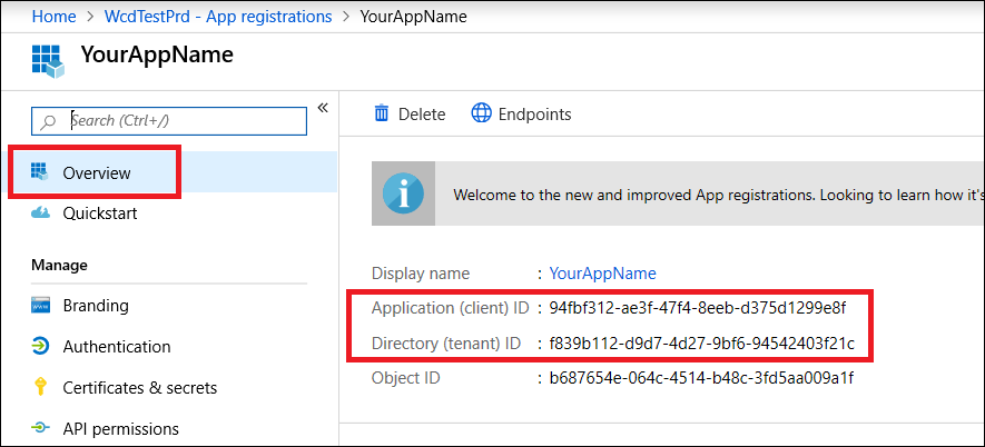 The application details pane under the Overview menu item in the Azure Active Directory portal