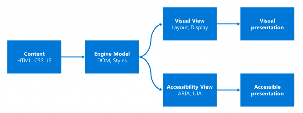 Content transformed to the engine model is projected into visual and accessibility views, presented as visual or accessible presentation
