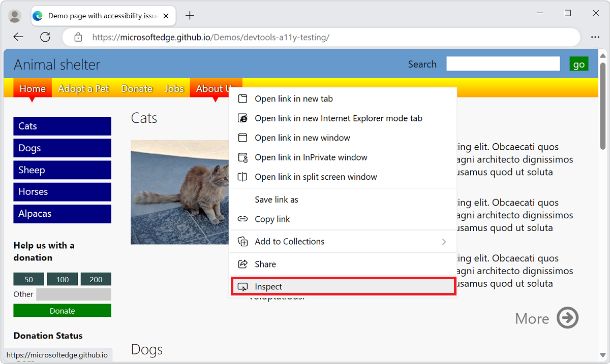 Microsoft Edge Browser  Installation, Tips & Tricks, DevTools Guide