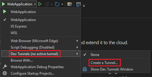 Screenshot shows the dropdown to select the dev tunnels.