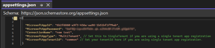 Screenshot shows the appsettings json.