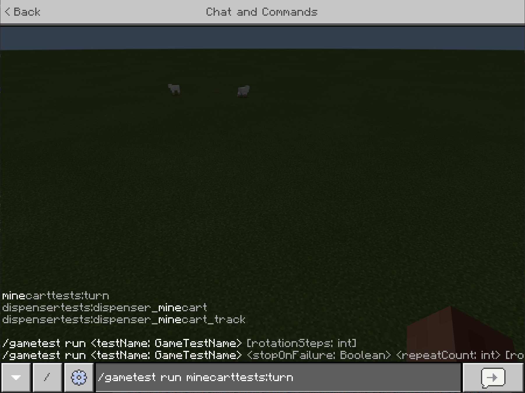 Image of a command being run in Minecraft's command tool