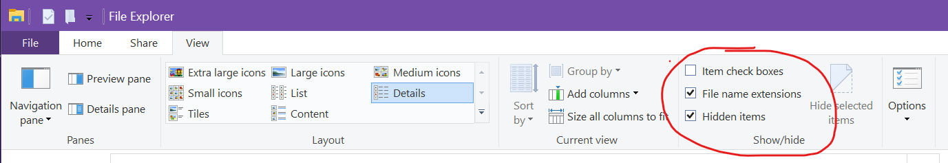 Image of Windows 10 File Explorer window's view options. The File name extensions and Hidden items boxes are checked to indicate that they are set to true