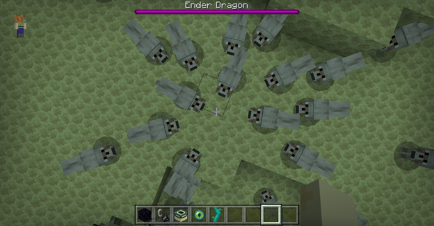 Image of a pack of wolves in the End. Ender Dragon bar above them shows full health. Oh no!