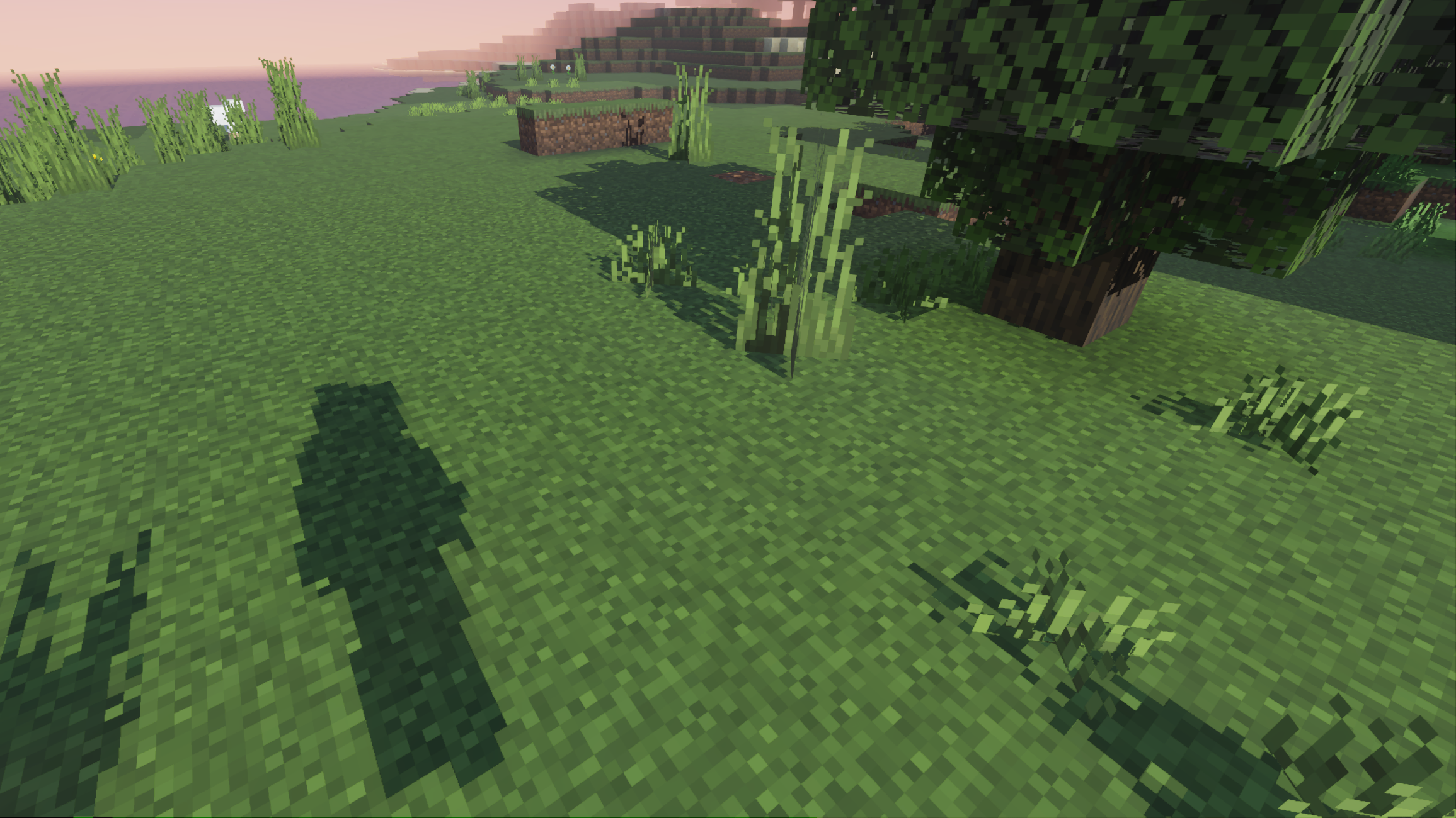 Image showing a tree in a field in Minecraft with blocky shadow stylization enabled so that the shadows cast by the tree and the player's body are pixelated and snapped to the texel grid
