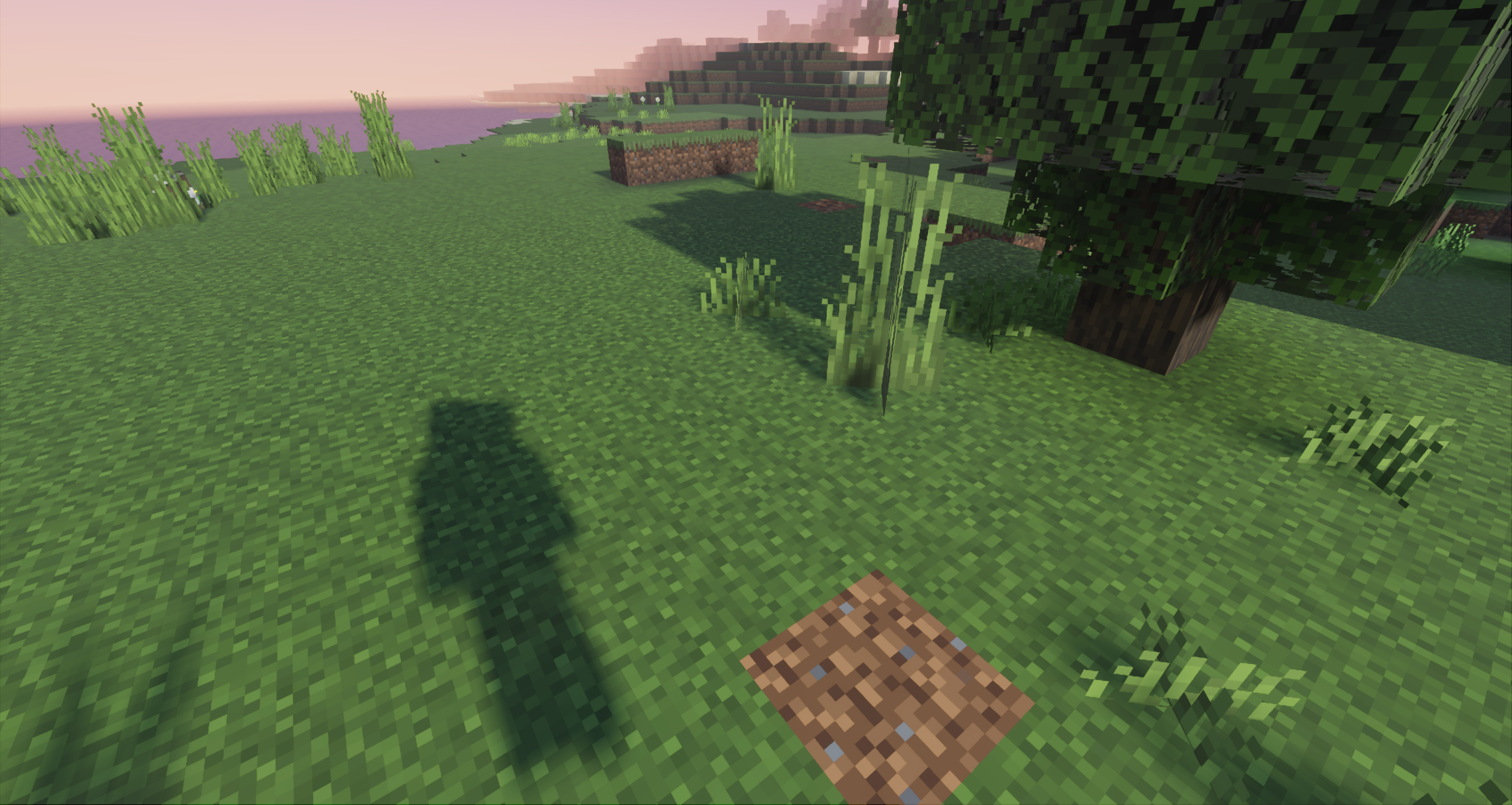 Image showing a tree in a field in Minecraft with soft shadow stylization enabled so that the shadows cast by the tree and the player's body are smoothed and have a soft falloff on the edges