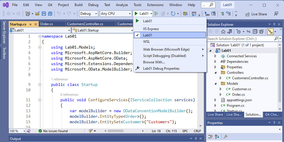 Screenshot of configuring debugging profile in visual studio