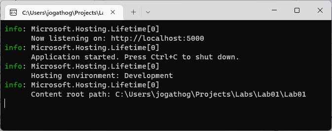 Screenshot of running aspnet core odata 8 application