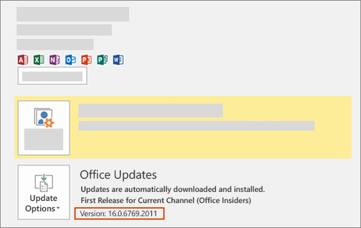 Product information, including the version number, with the Office Insiders label.