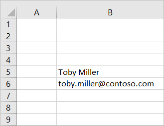 Screenshot showing user profile information in Excel worksheet.