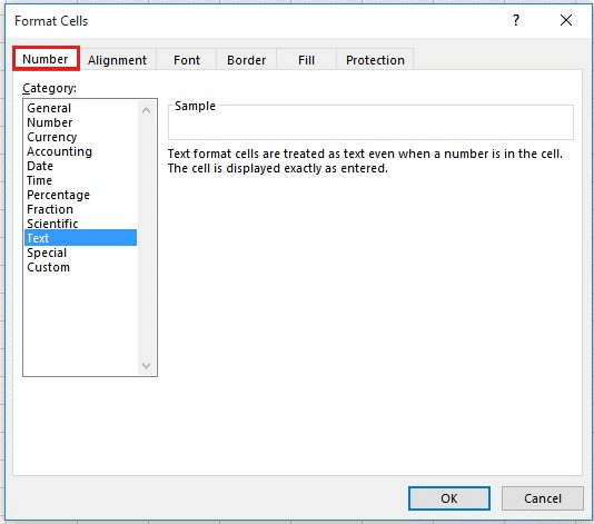 Select Text under the Number tab in the Format Cells dialog box.