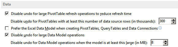 Set size of Data Model undo operations