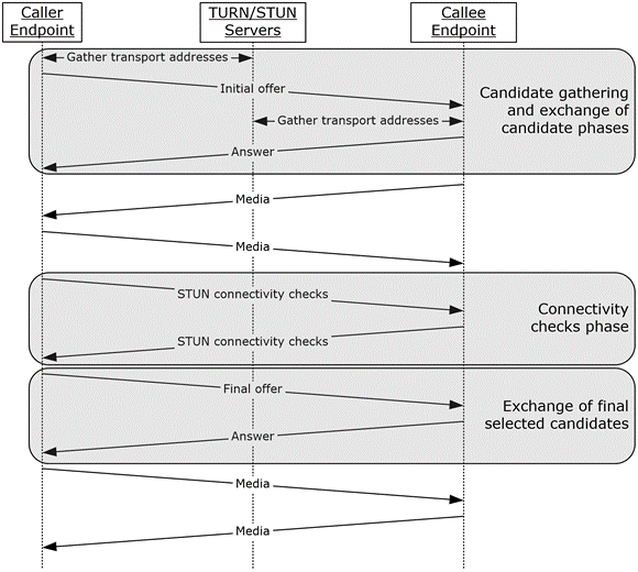 ICE sequence diagram