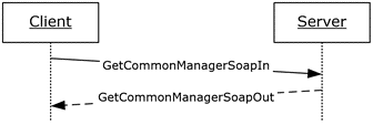 GetCommonManager operation