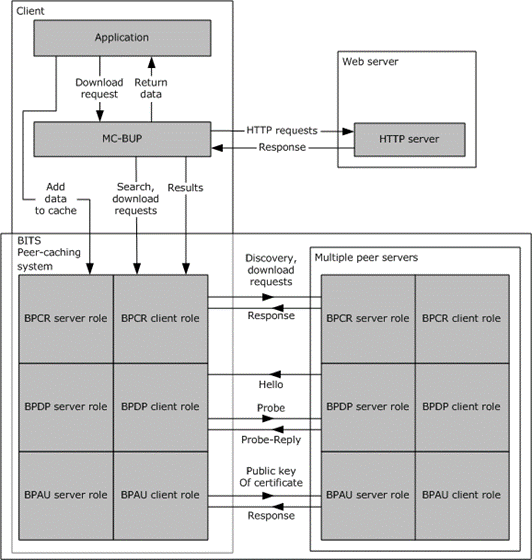 White-box diagram of protocols in BITS peer-caching framework