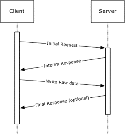 Write Raw request/response message flow