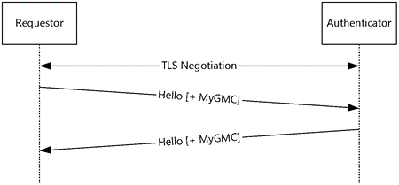 Establishing a connection using GMC authentication