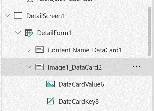 Display a full-sized image on a canvas app form - Power Apps | Microsoft  Learn
