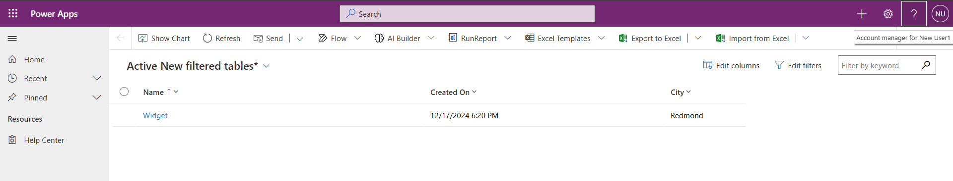 Screenshot of the filtered table view showing only Redmond city records visible to the user.
