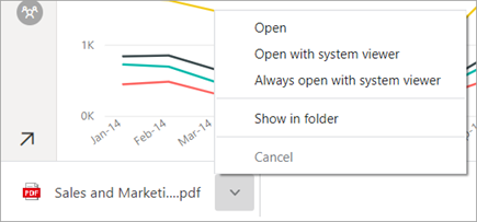 Lower left corner of Chrome browser showing PDF options