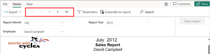 Screenshot of the Page through feature to view the report highlighted.
